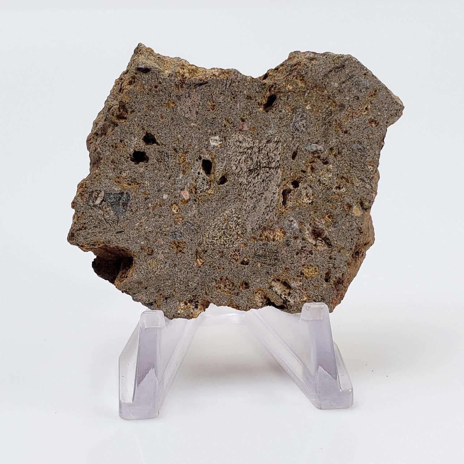  Impactite Breccia Suevite | 29.55 Grams | Chassenon, Rochechouart Structure, France 1