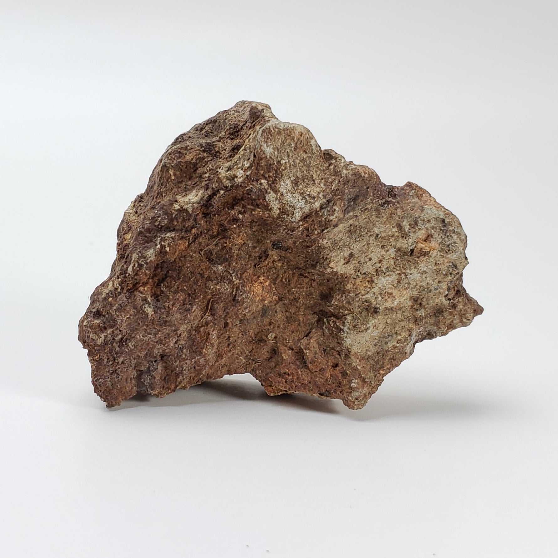  Impactite Breccia Suevite | 40.8 Grams | Chassenon, Rochechouart Structure, France 1