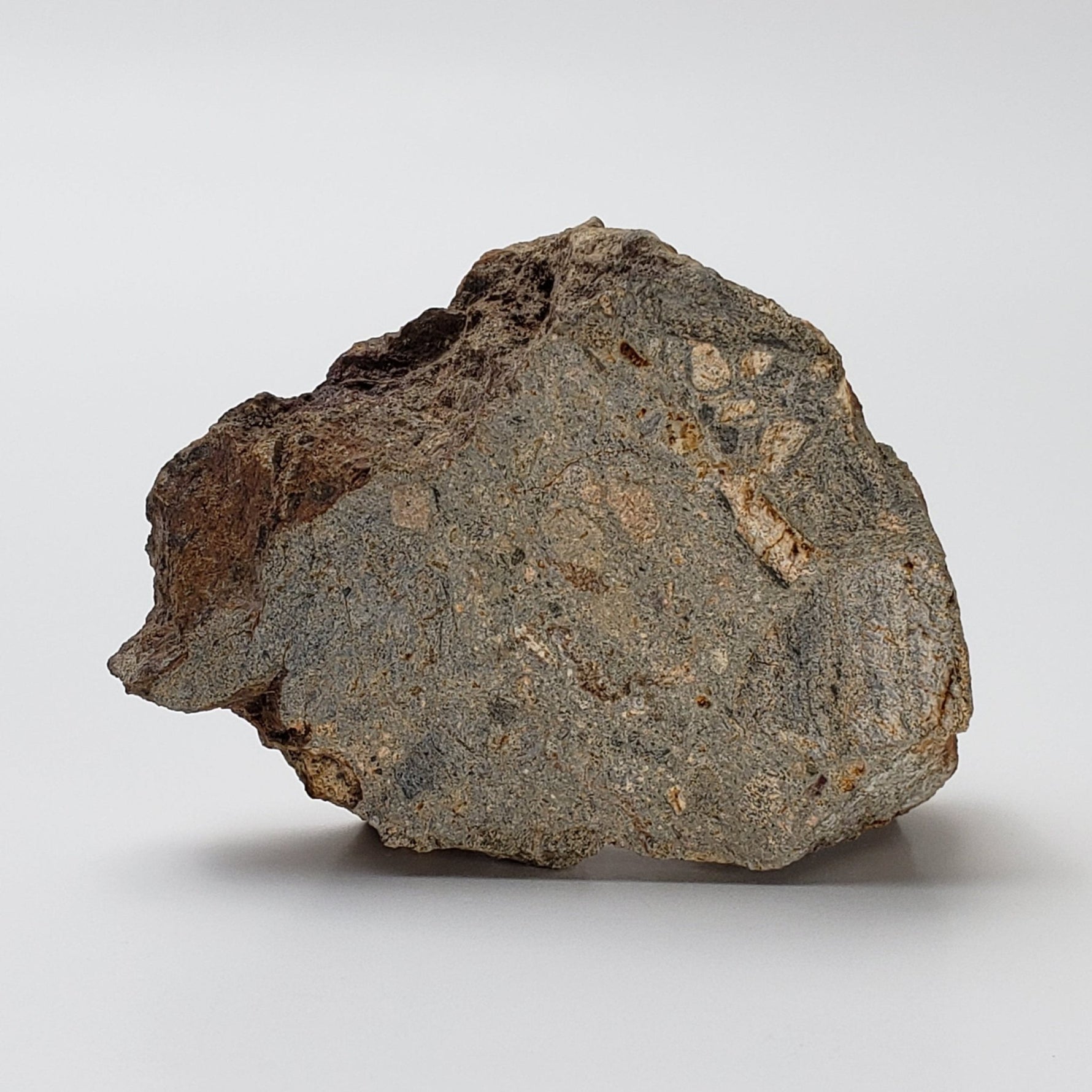  Impactite Breccia Suevite | 40.8 Grams | Chassenon, Rochechouart Structure, France 2