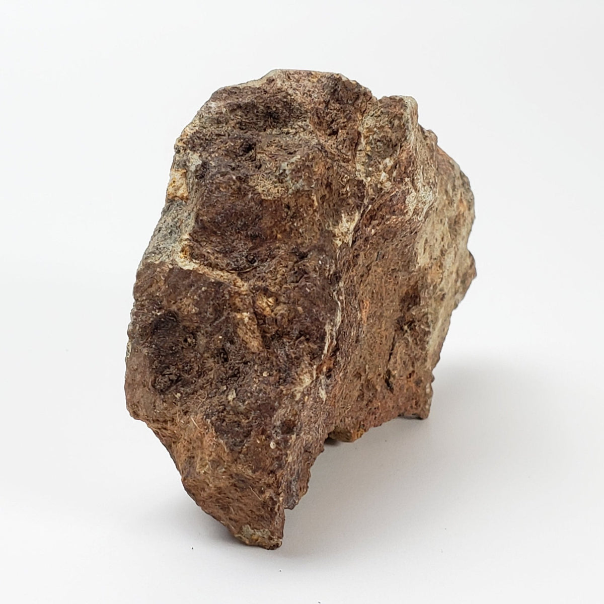  Impactite Breccia Suevite | 40.8 Grams | Chassenon, Rochechouart Structure, France 3