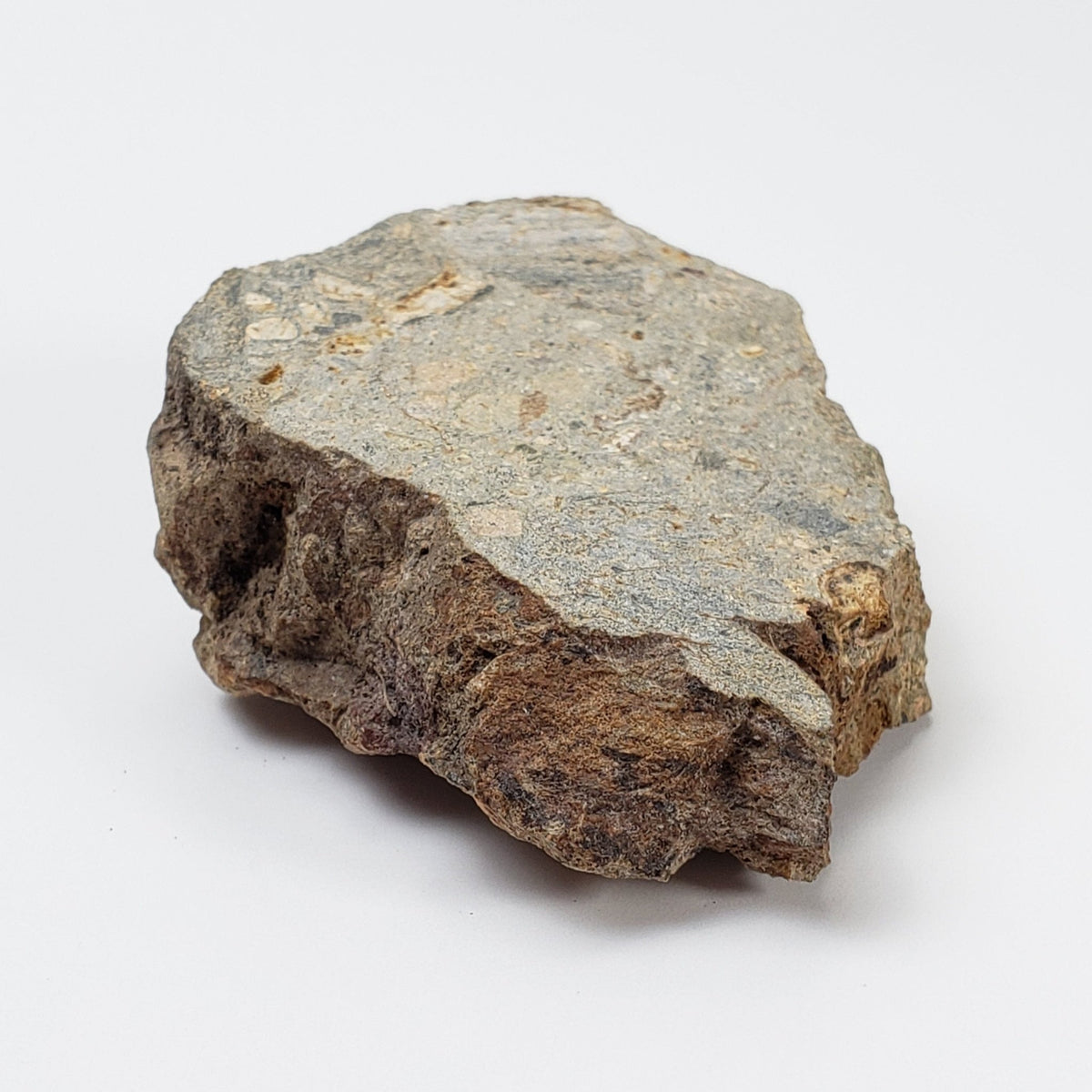  Impactite Breccia Suevite | 40.8 Grams | Chassenon, Rochechouart Structure, France 4