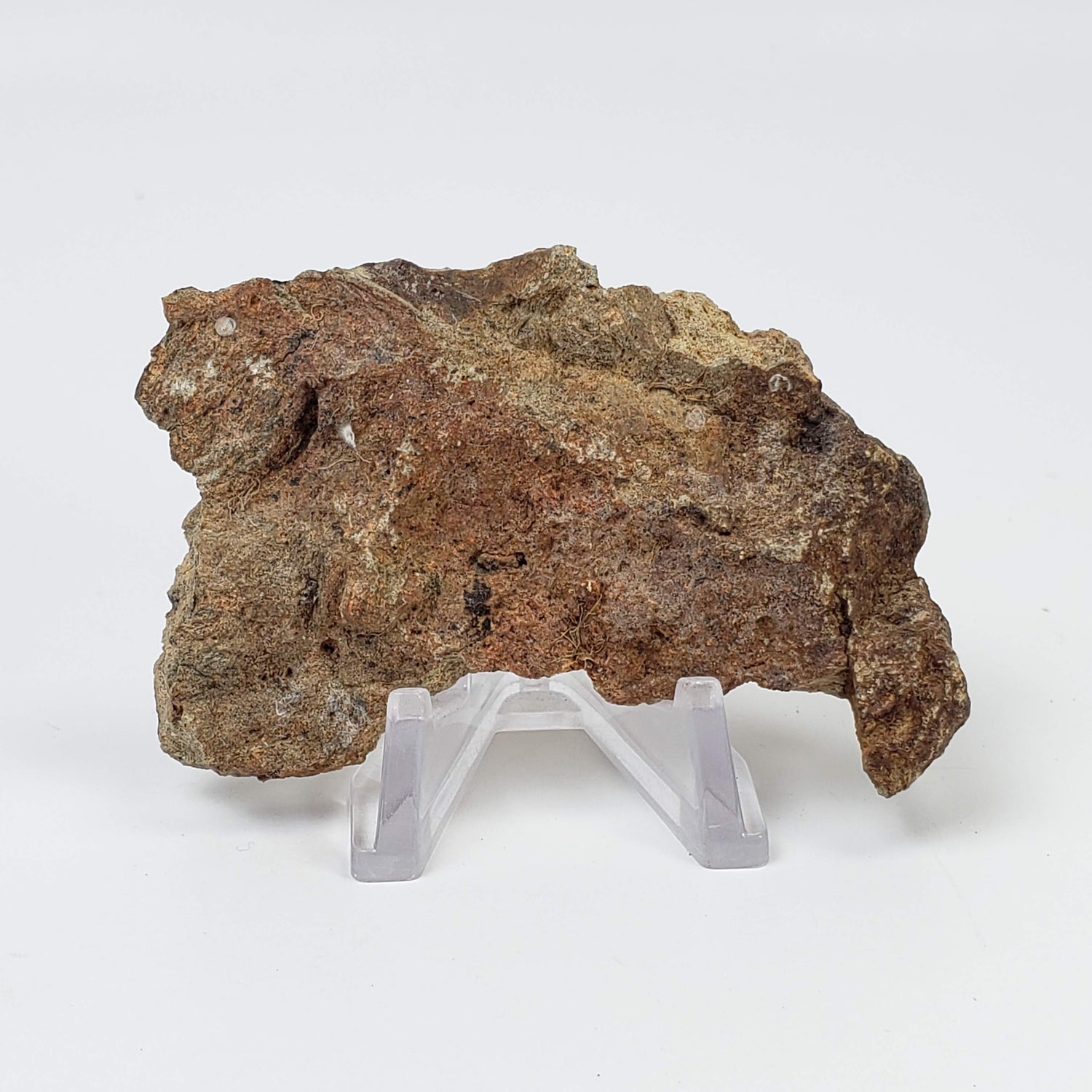  Impactite Breccia Suevite | 52 Grams | Chassenon, Rochechouart Structure, France 1