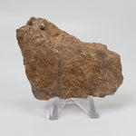  Impactite Breccia Suevite | 90.7 Grams | Rochechouart Structure, France 1