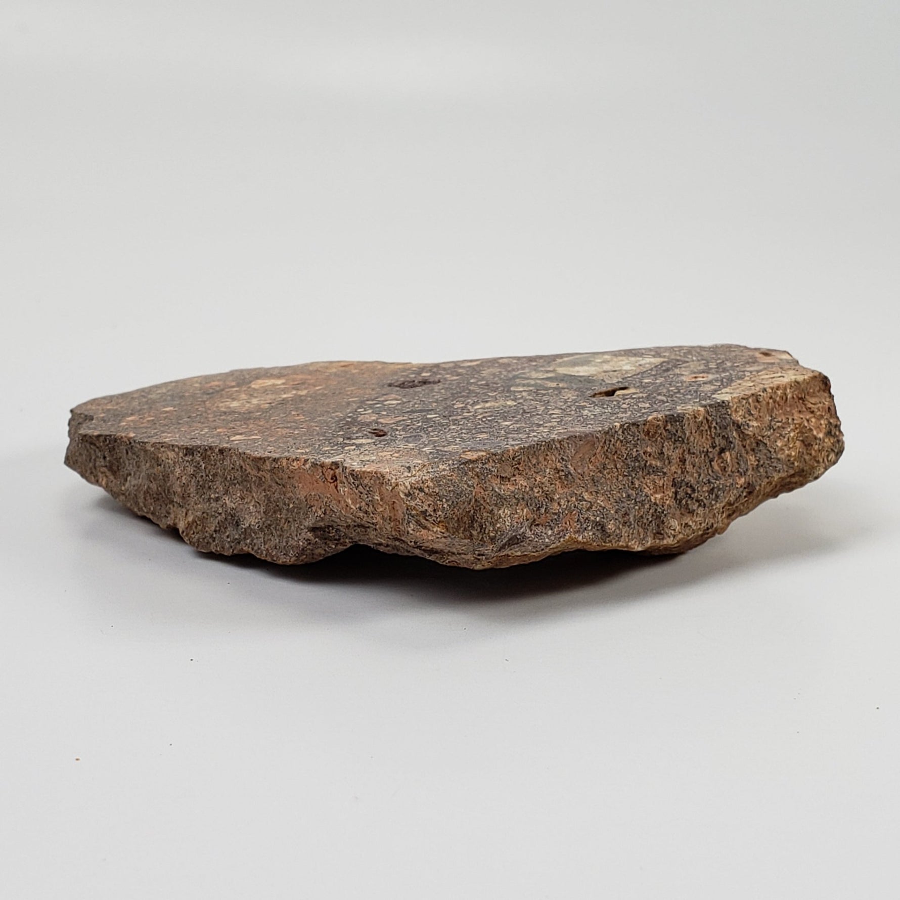  Impactite Breccia Suevite | 90.7 Grams | Rochechouart Structure, France 3