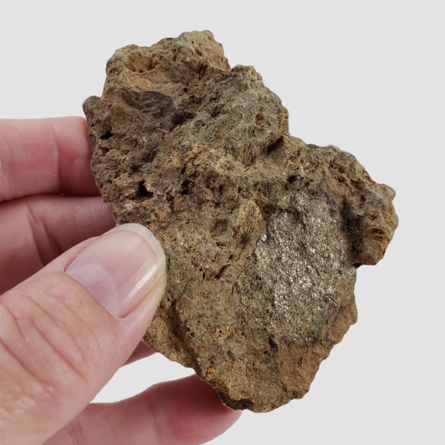  Impactite Breccia Suevite | 96.3 Grams | Chassenon, Rochechouart Structure, France 1