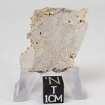 Impactite Fallback Breccia | Steinheim Basin Impact Structure | 16 grams | Slice | Ries, Germany 