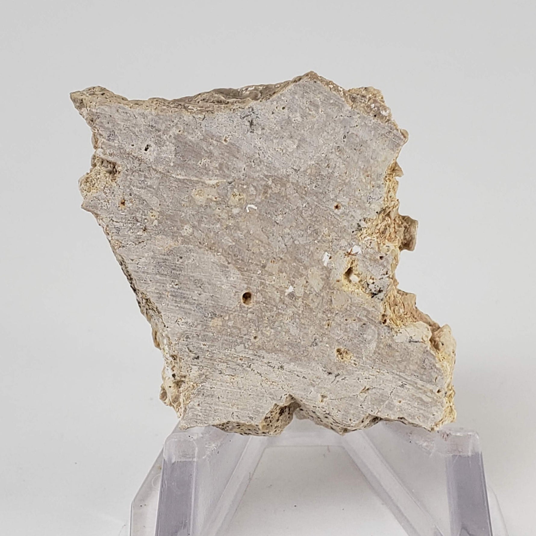  Impactite Fallback Breccia | Steinheim Basin Impact Structure | 16 grams | Slice | Ries, Germany 1