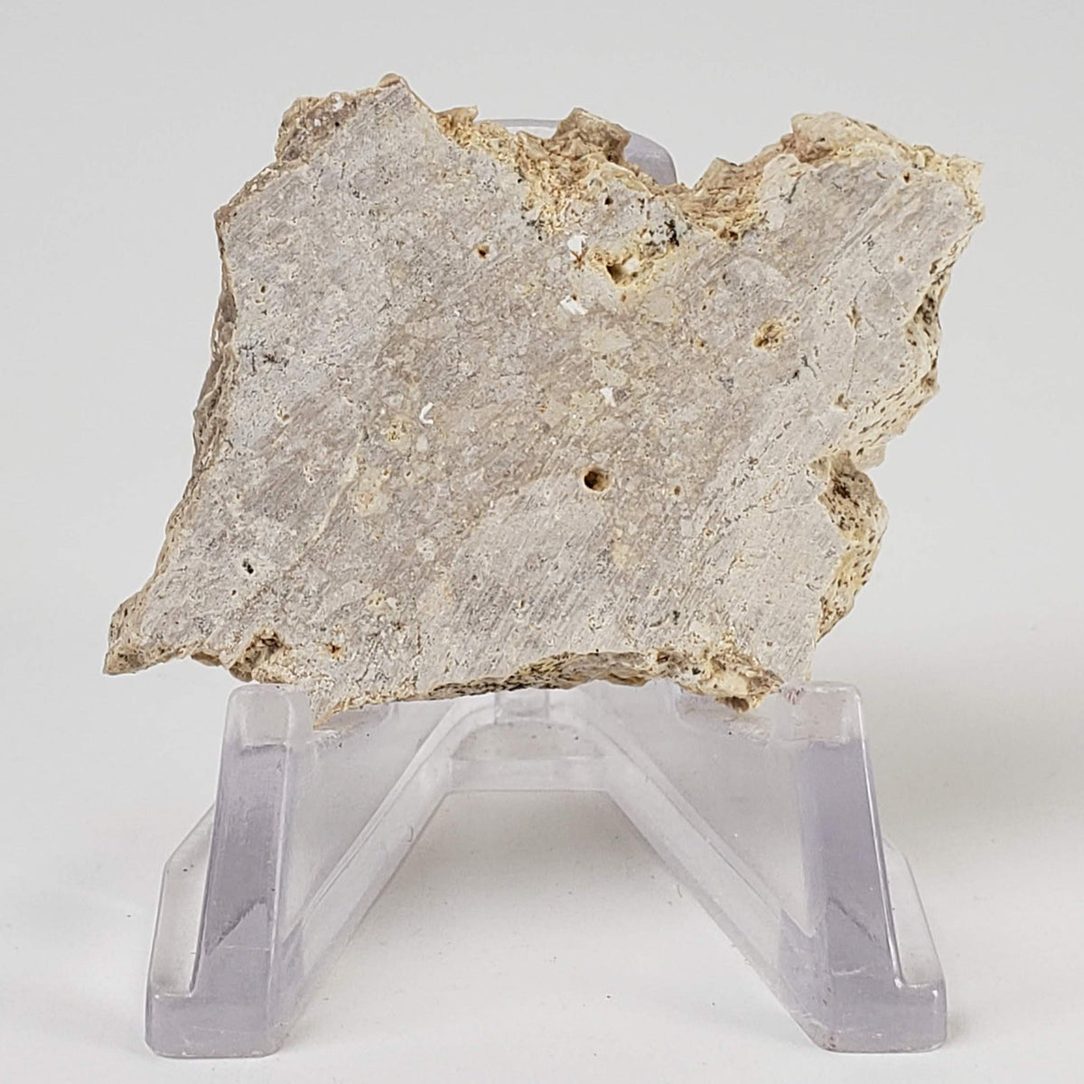  Impactite Fallback Breccia | Steinheim Basin Impact Structure | 16 grams | Slice | Ries, Germany 2