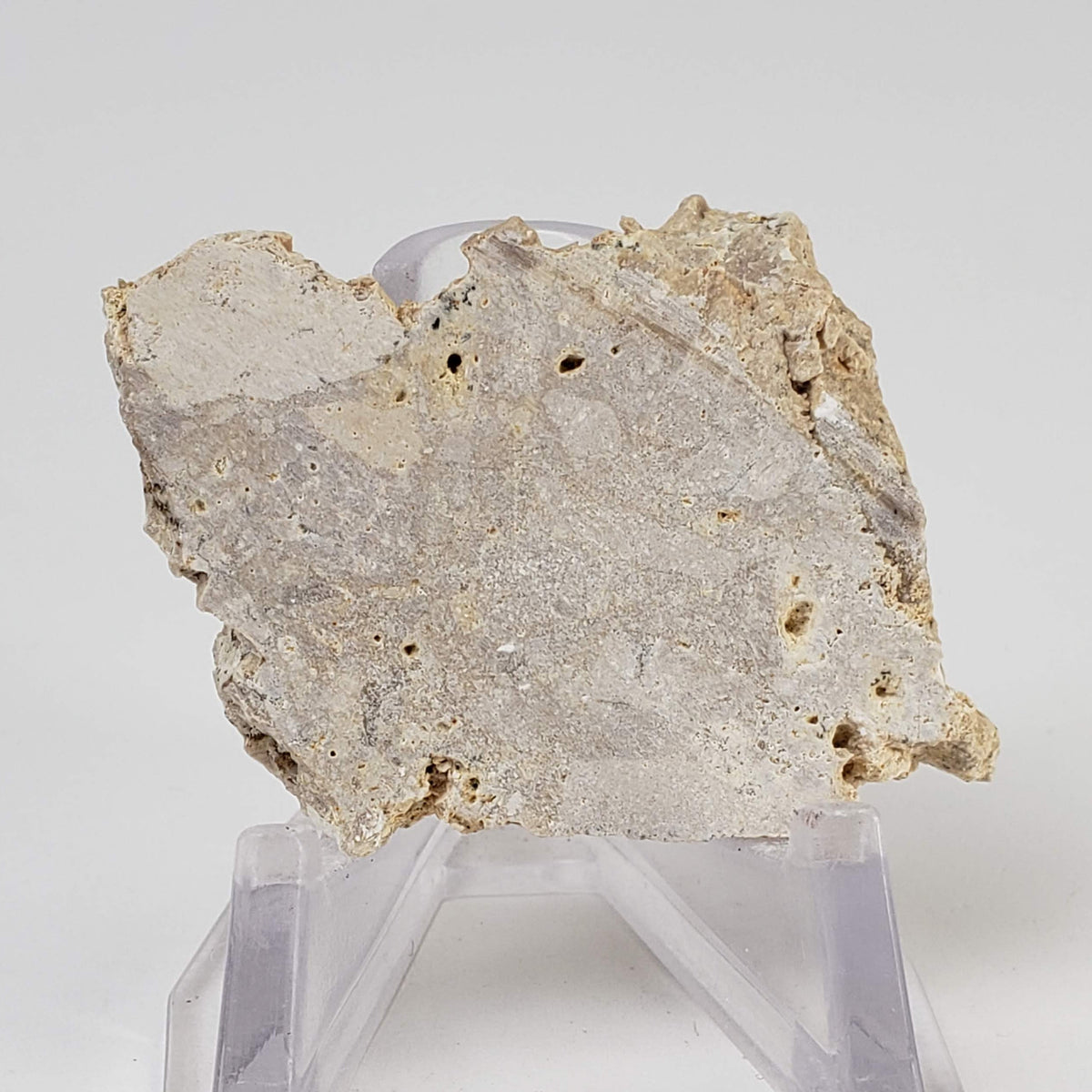  Impactite Fallback Breccia | Steinheim Basin Impact Structure | 16 grams | Slice | Ries, Germany 3