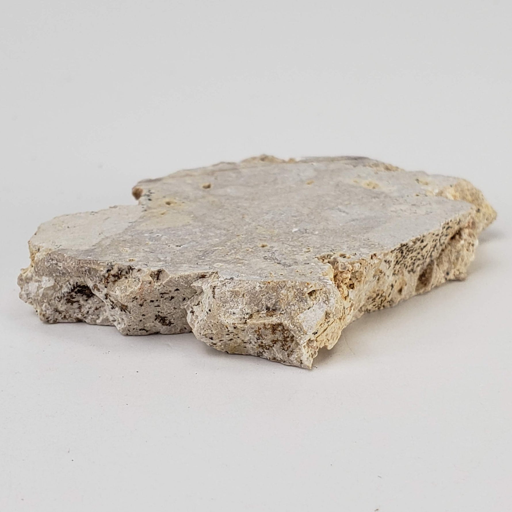  Impactite Fallback Breccia | Steinheim Basin Impact Structure | 16 grams | Slice | Ries, Germany 4