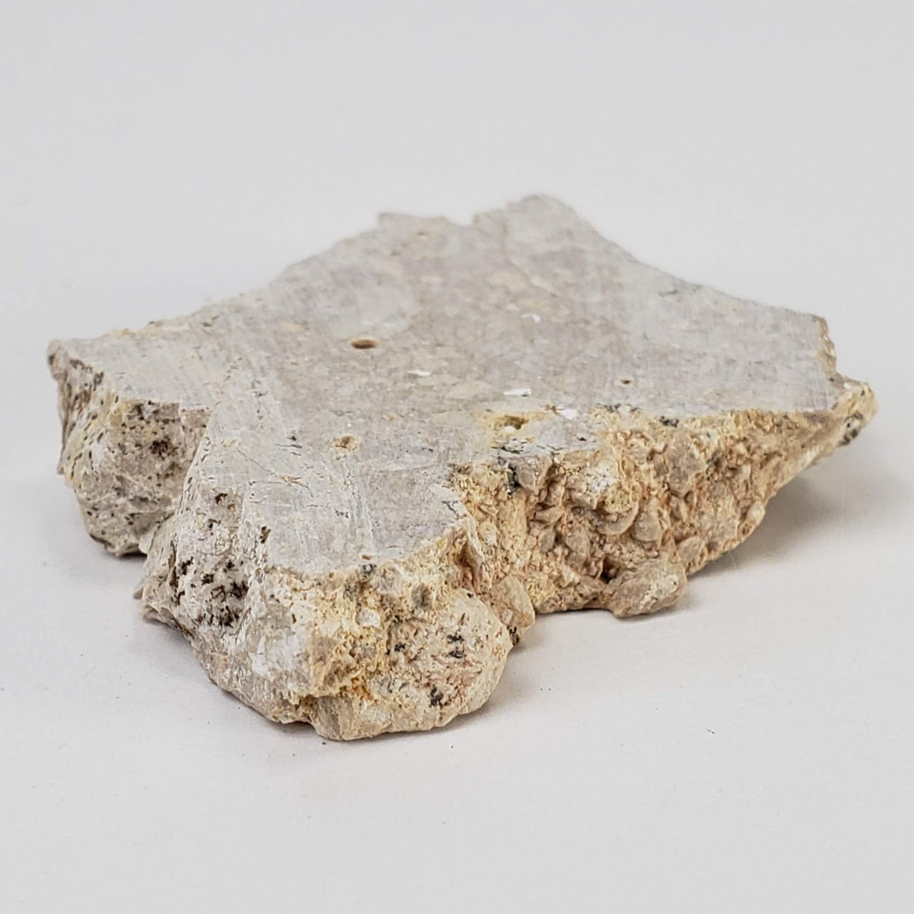  Impactite Fallback Breccia | Steinheim Basin Impact Structure | 16 grams | Slice | Ries, Germany 5