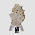  Impactite Fallback Breccia | Steinheim Basin Impact Structure | 21.3 grams | Slice | Ries, Germany 