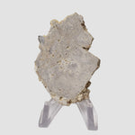  Impactite Fallback Breccia | Steinheim Basin Impact Structure | 21.3 grams | Slice | Ries, Germany 1