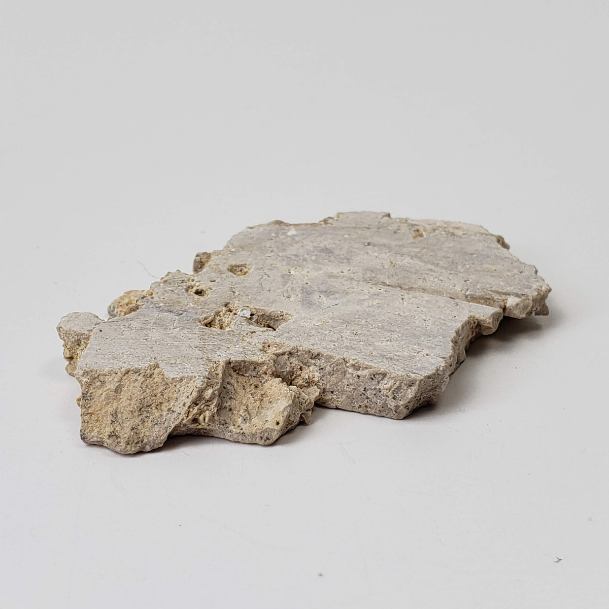  Impactite Fallback Breccia | Steinheim Basin Impact Structure | 21.3 grams | Slice | Ries, Germany 4