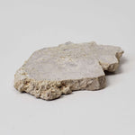  Impactite Fallback Breccia | Steinheim Basin Impact Structure | 21.3 grams | Slice | Ries, Germany 2
