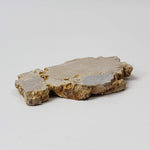  Impactite Fallback Breccia | Steinheim Basin Impact Structure | 22.9 grams | Slice | Ries, Germany 2