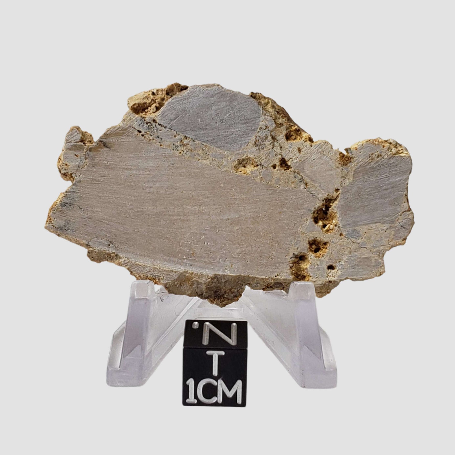  Impactite Fallback Breccia | Steinheim Basin Impact Structure | 22.9 grams | Slice | Ries, Germany 