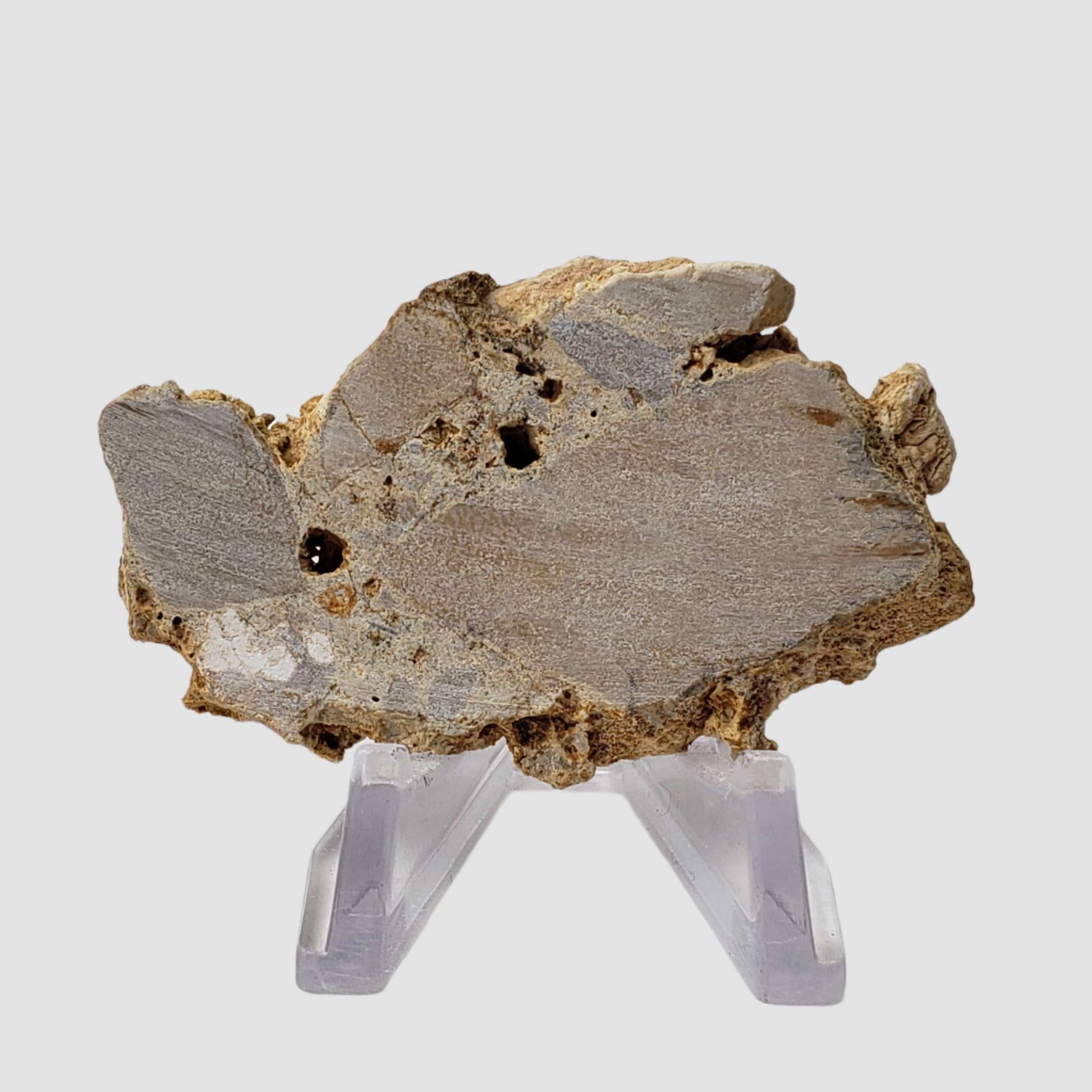  Impactite Fallback Breccia | Steinheim Basin Impact Structure | 22.9 grams | Slice | Ries, Germany 1