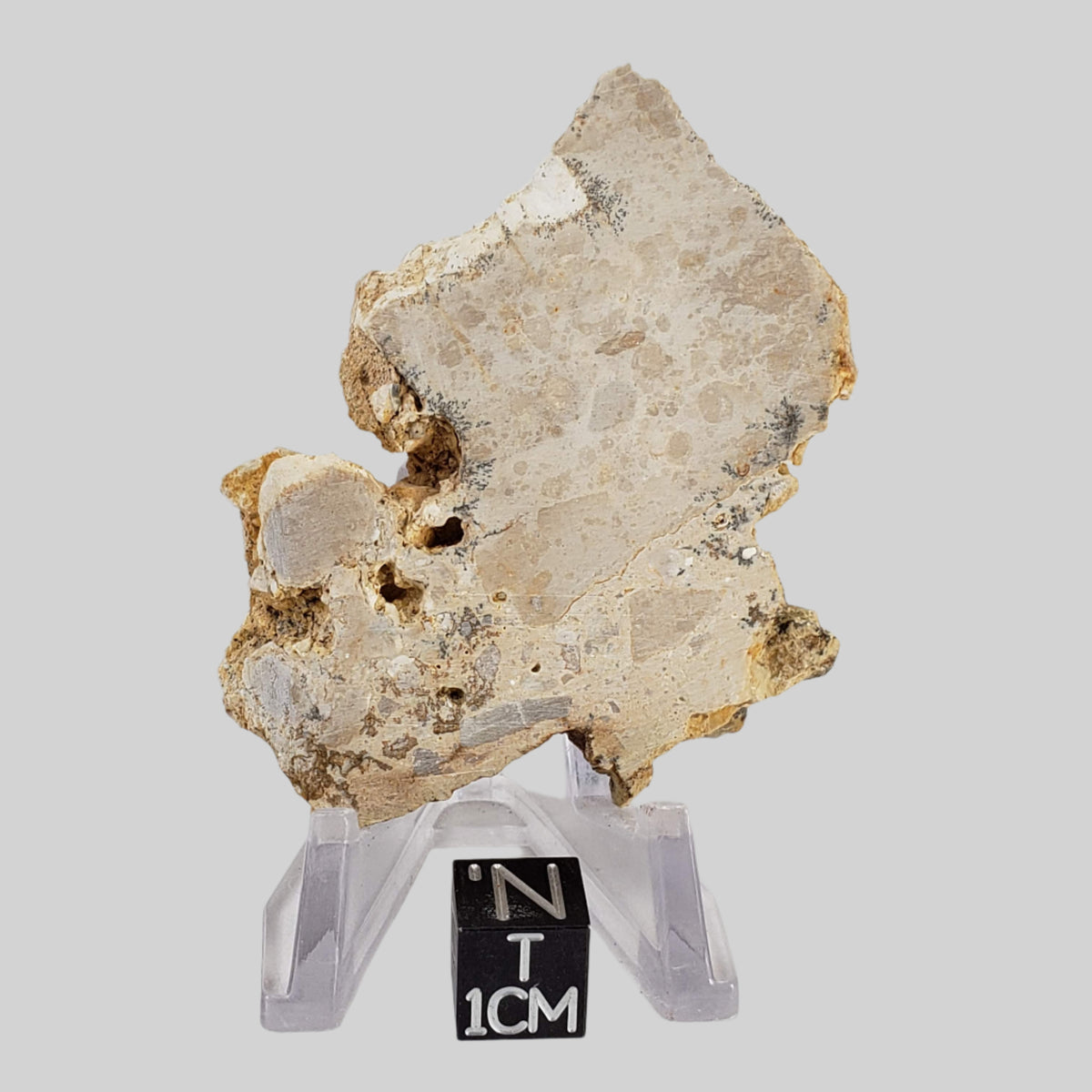  Impactite Fallback Breccia | Steinheim Basin Impact Structure | 33.3 grams | Slice | Ries, Germany 