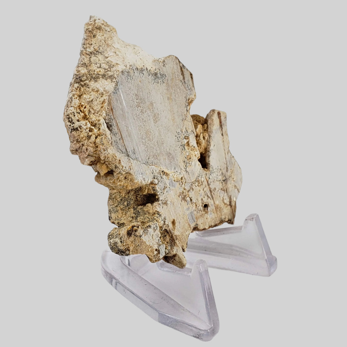  Impactite Fallback Breccia | Steinheim Basin Impact Structure | 33.3 grams | Slice | Ries, Germany 2