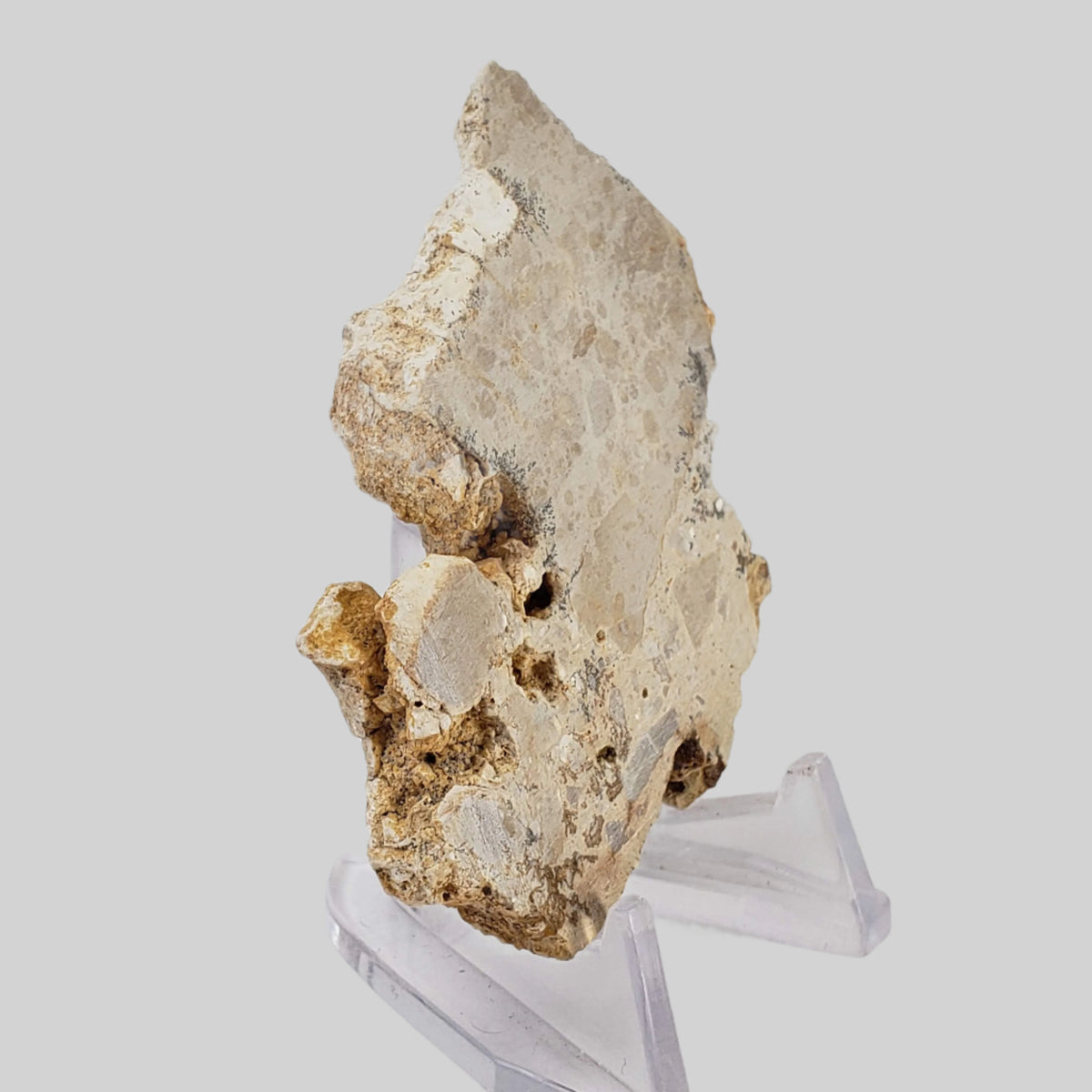  Impactite Fallback Breccia | Steinheim Basin Impact Structure | 33.3 grams | Slice | Ries, Germany 3