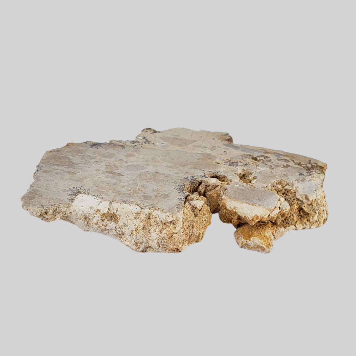  Impactite Fallback Breccia | Steinheim Basin Impact Structure | 33.3 grams | Slice | Ries, Germany 4