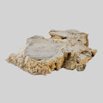  Impactite Fallback Breccia | Steinheim Basin Impact Structure | 33.3 grams | Slice | Ries, Germany 5