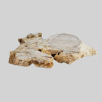  Impactite Fallback Breccia | Steinheim Basin Impact Structure | 33.3 grams | Slice | Ries, Germany 6