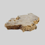  Impactite Fallback Breccia | Steinheim Basin Impact Structure | 33.3 grams | Slice | Ries, Germany 7
