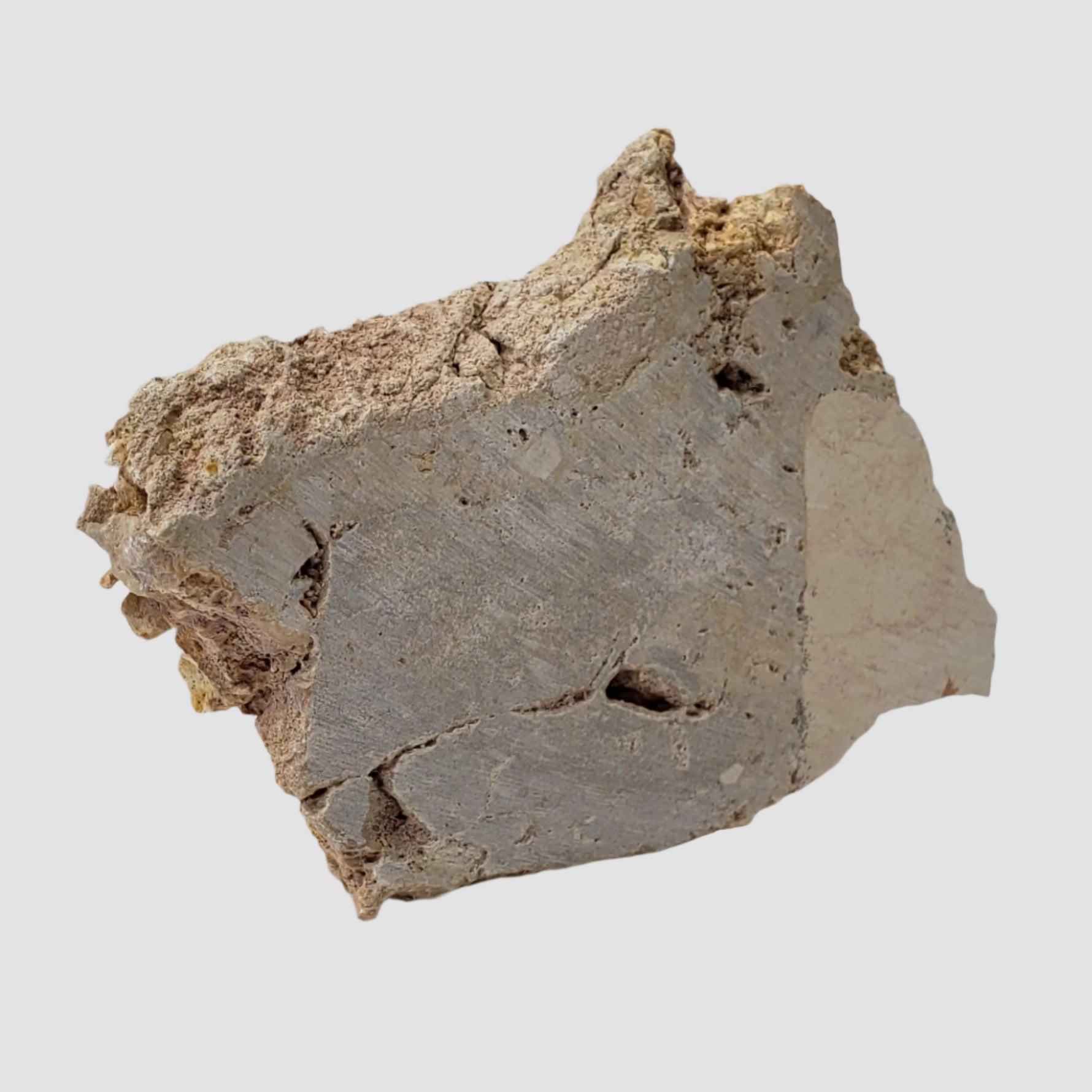  Impactite Fallback Breccia | Steinheim Basin Impact Structure | 52 grams | Slice | Ries, Germany 3