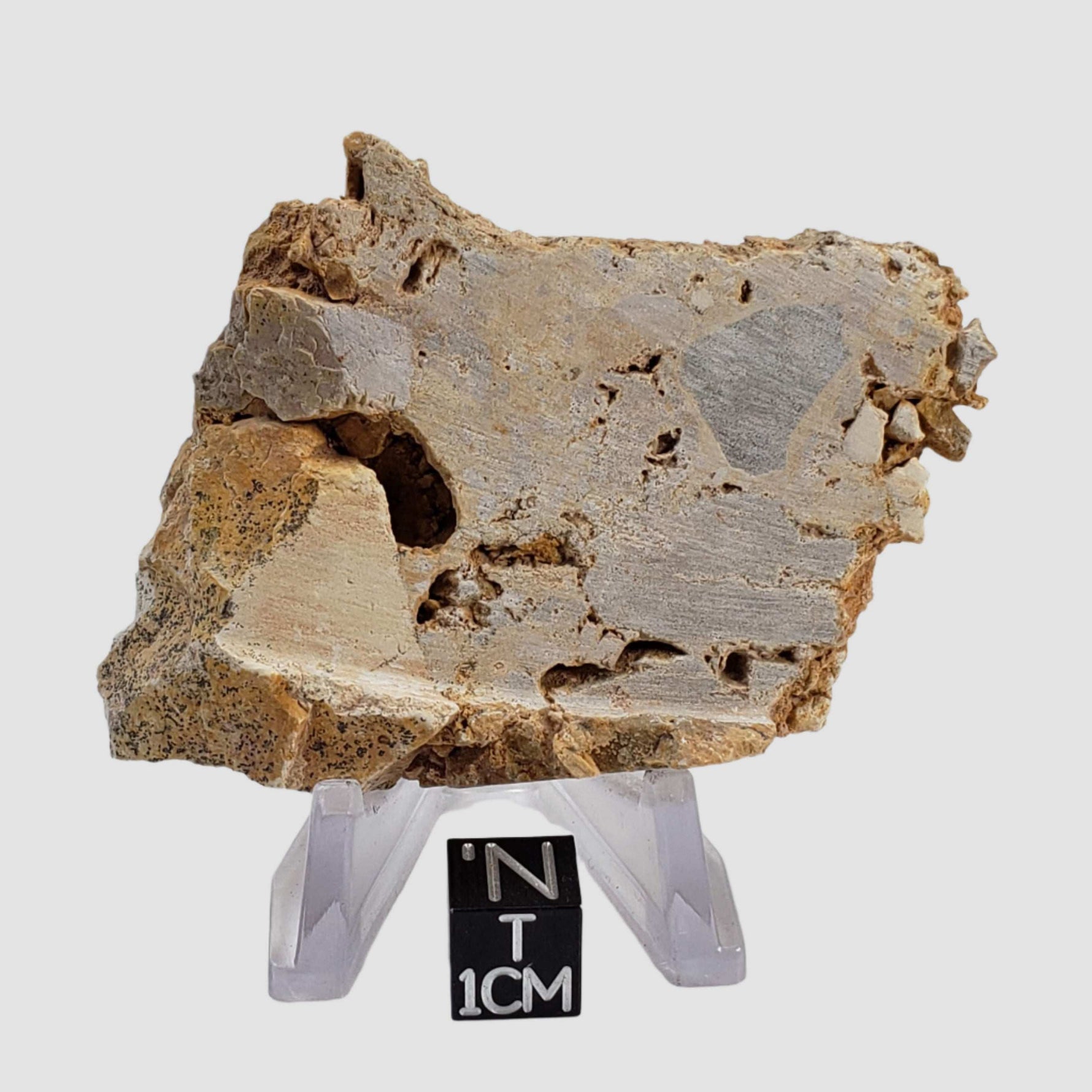  Impactite Fallback Breccia | Steinheim Basin Impact Structure | 52 grams | Slice | Ries, Germany 