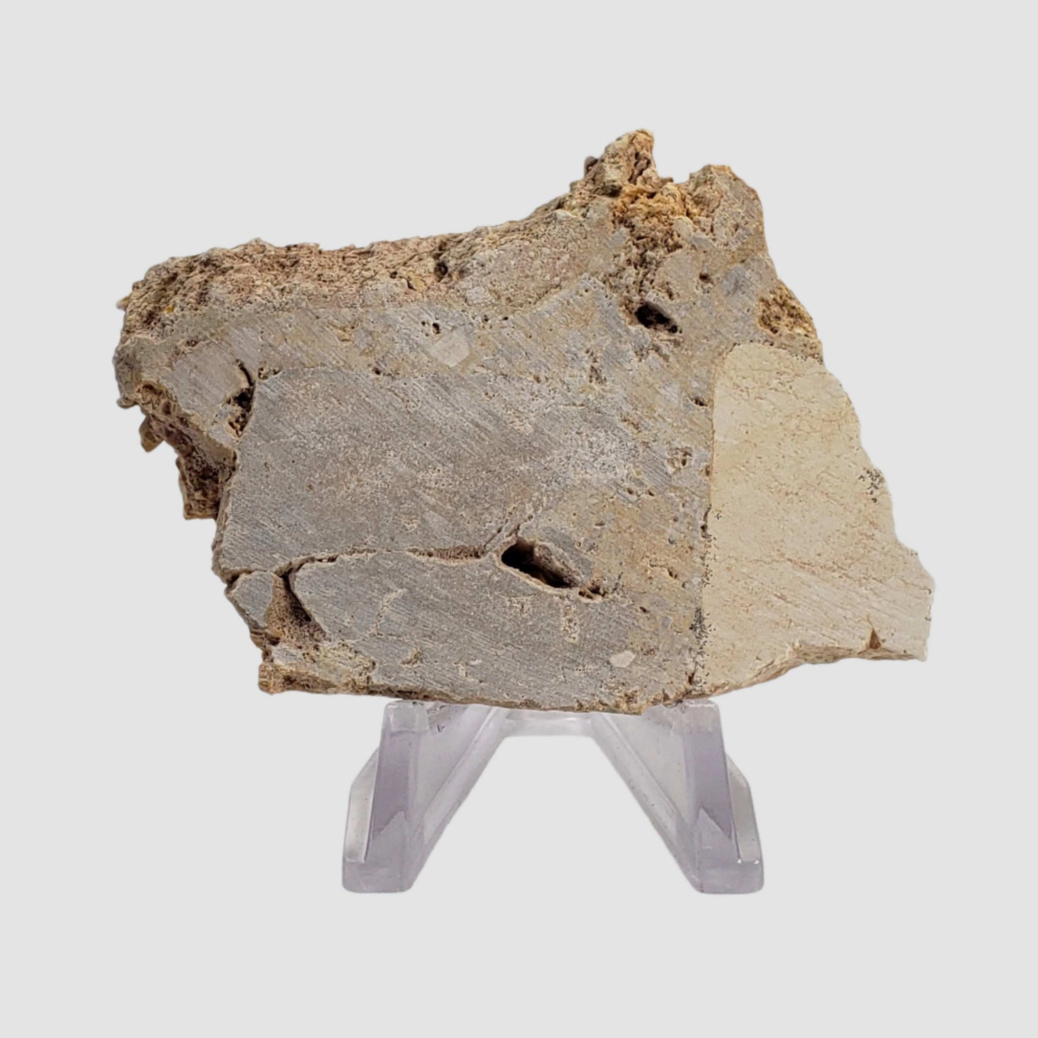  Impactite Fallback Breccia | Steinheim Basin Impact Structure | 52 grams | Slice | Ries, Germany 1