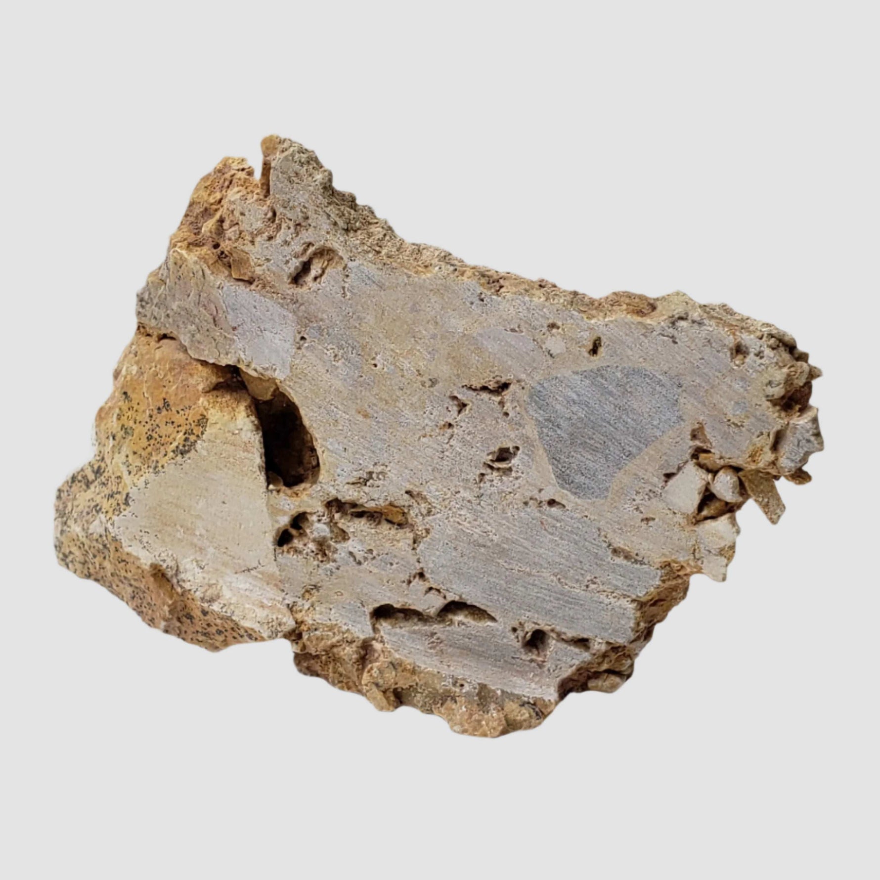  Impactite Fallback Breccia | Steinheim Basin Impact Structure | 52 grams | Slice | Ries, Germany 2