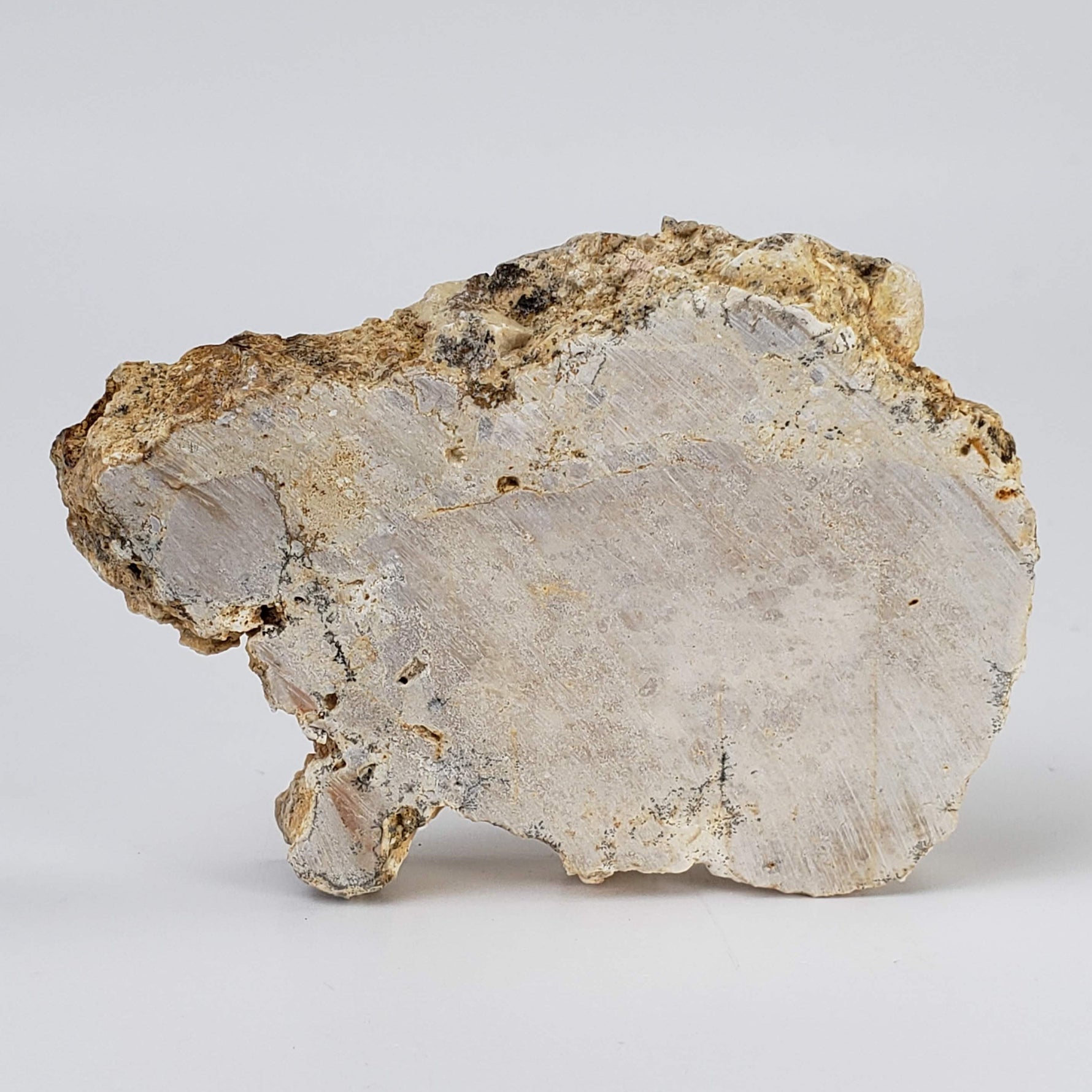  Impactite Fallback Breccia | Steinheim Basin Impact Structure | 66 grams | Slice | Ries, Germany | SO24 1