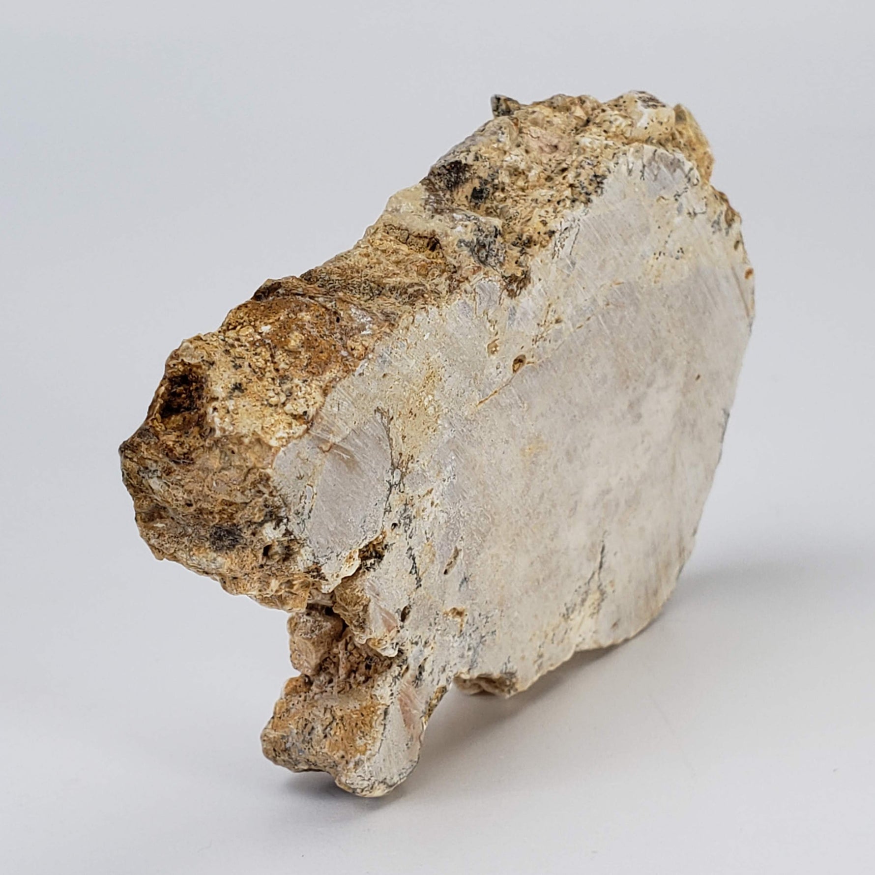  Impactite Fallback Breccia | Steinheim Basin Impact Structure | 66 grams | Slice | Ries, Germany | SO24 2