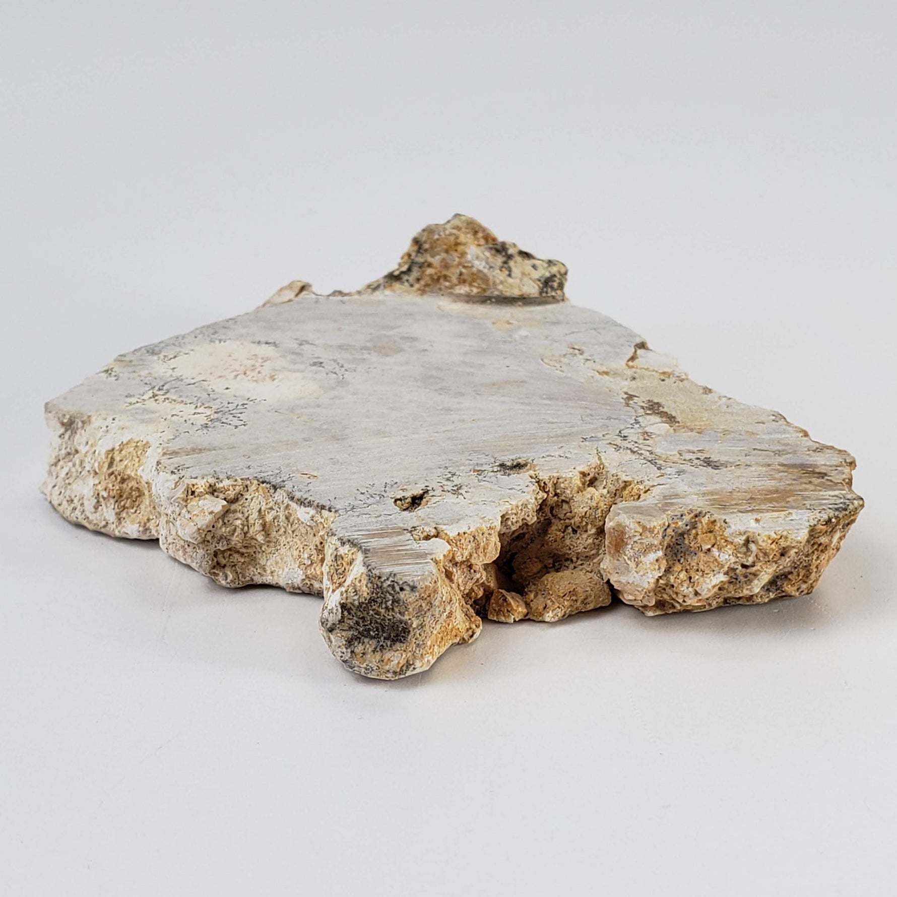  Impactite Fallback Breccia | Steinheim Basin Impact Structure | 66 grams | Slice | Ries, Germany | SO24 6