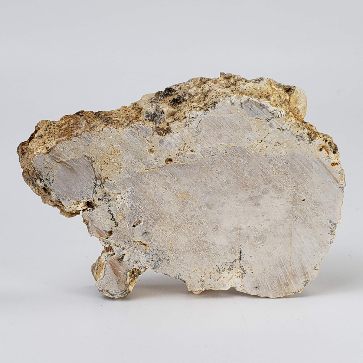  Impactite Fallback Breccia | Steinheim Basin Impact Structure | 66 grams | Slice | Ries, Germany | SO24 1
