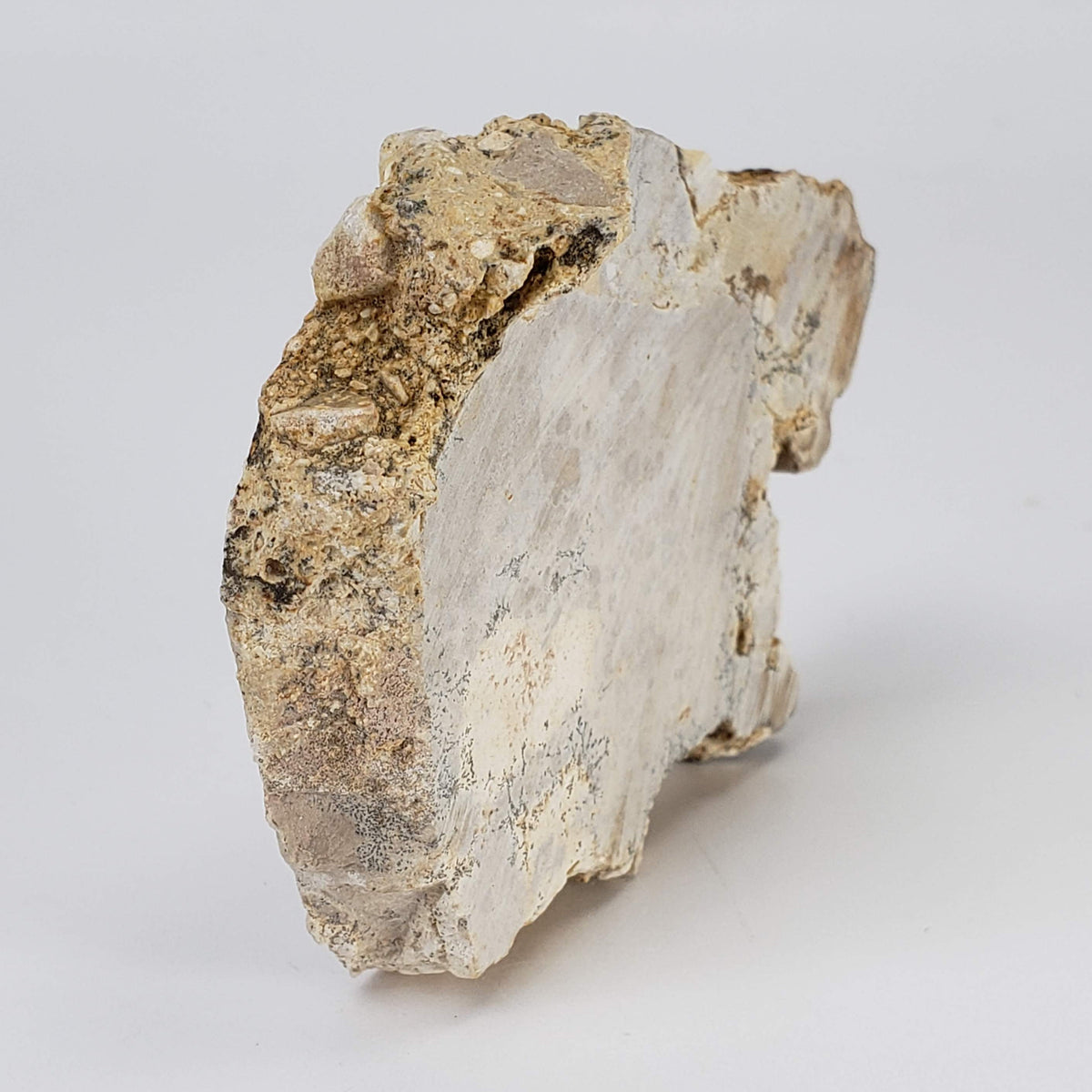  Impactite Fallback Breccia | Steinheim Basin Impact Structure | 66 grams | Slice | Ries, Germany | SO24 3