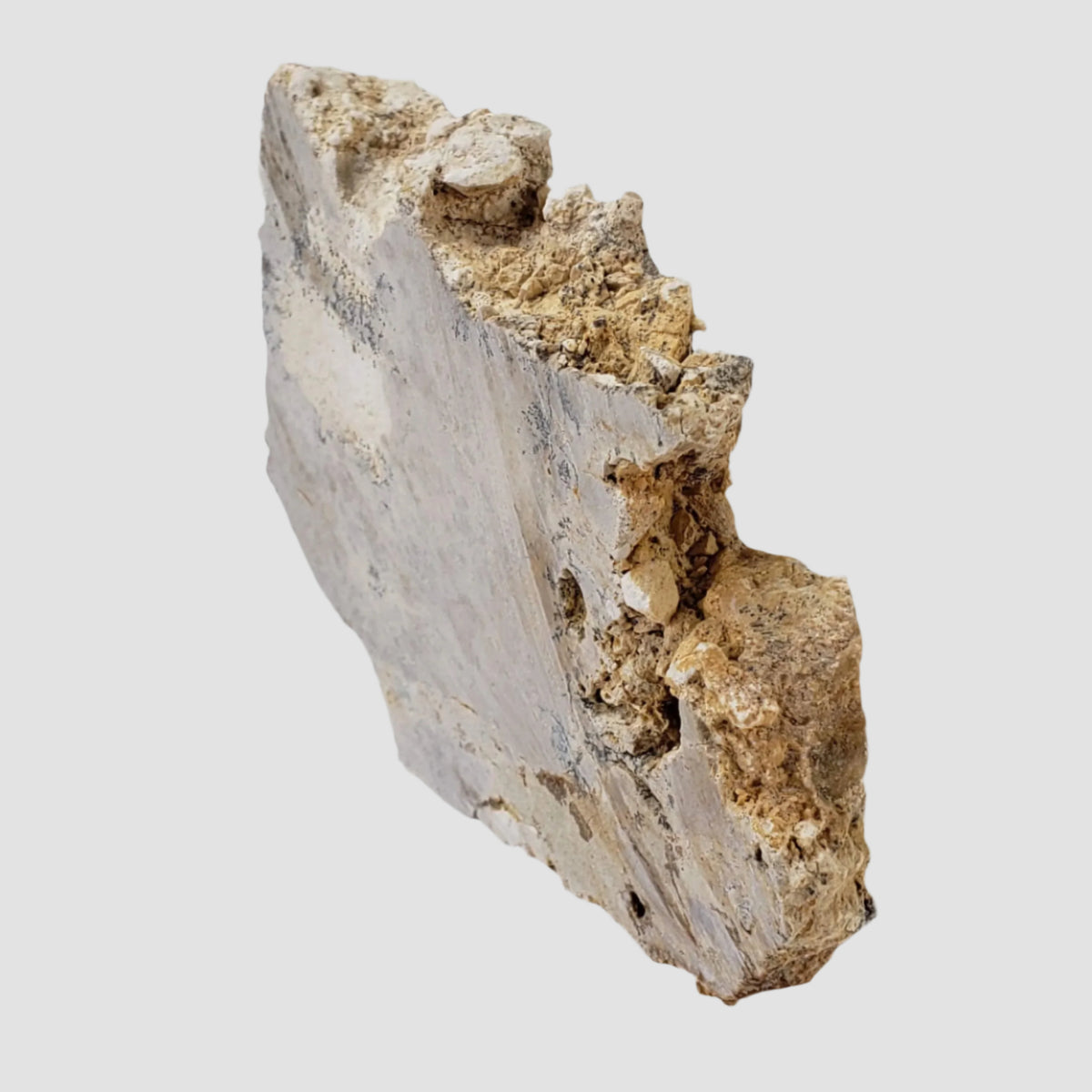  Impactite Fallback Breccia | Steinheim Basin Impact Structure | 67.3 grams | Slice | Ries, Germany 2