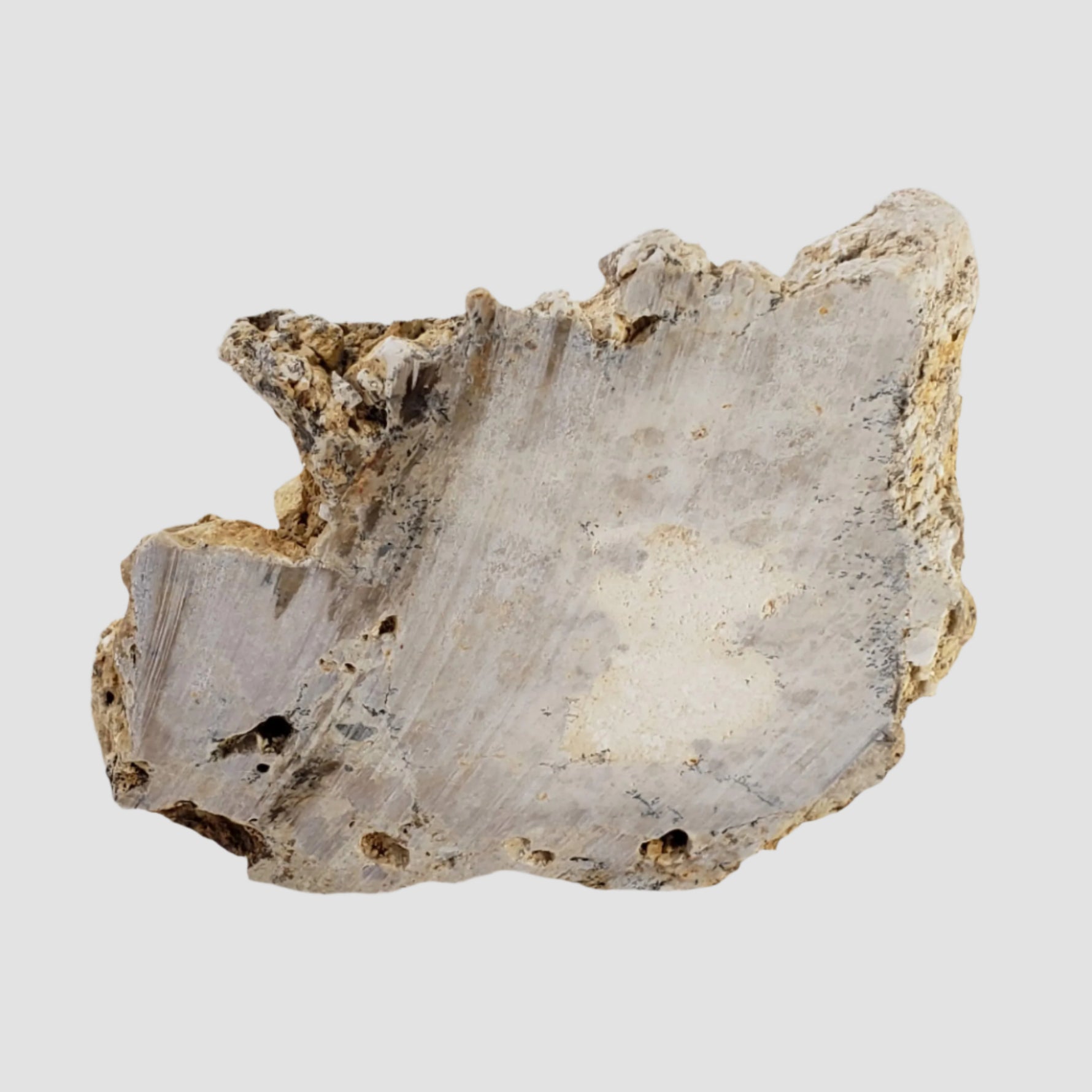  Impactite Fallback Breccia | Steinheim Basin Impact Structure | 67.3 grams | Slice | Ries, Germany 1