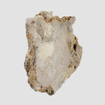  Impactite Fallback Breccia | Steinheim Basin Impact Structure | 67.3 grams | Slice | Ries, Germany 3