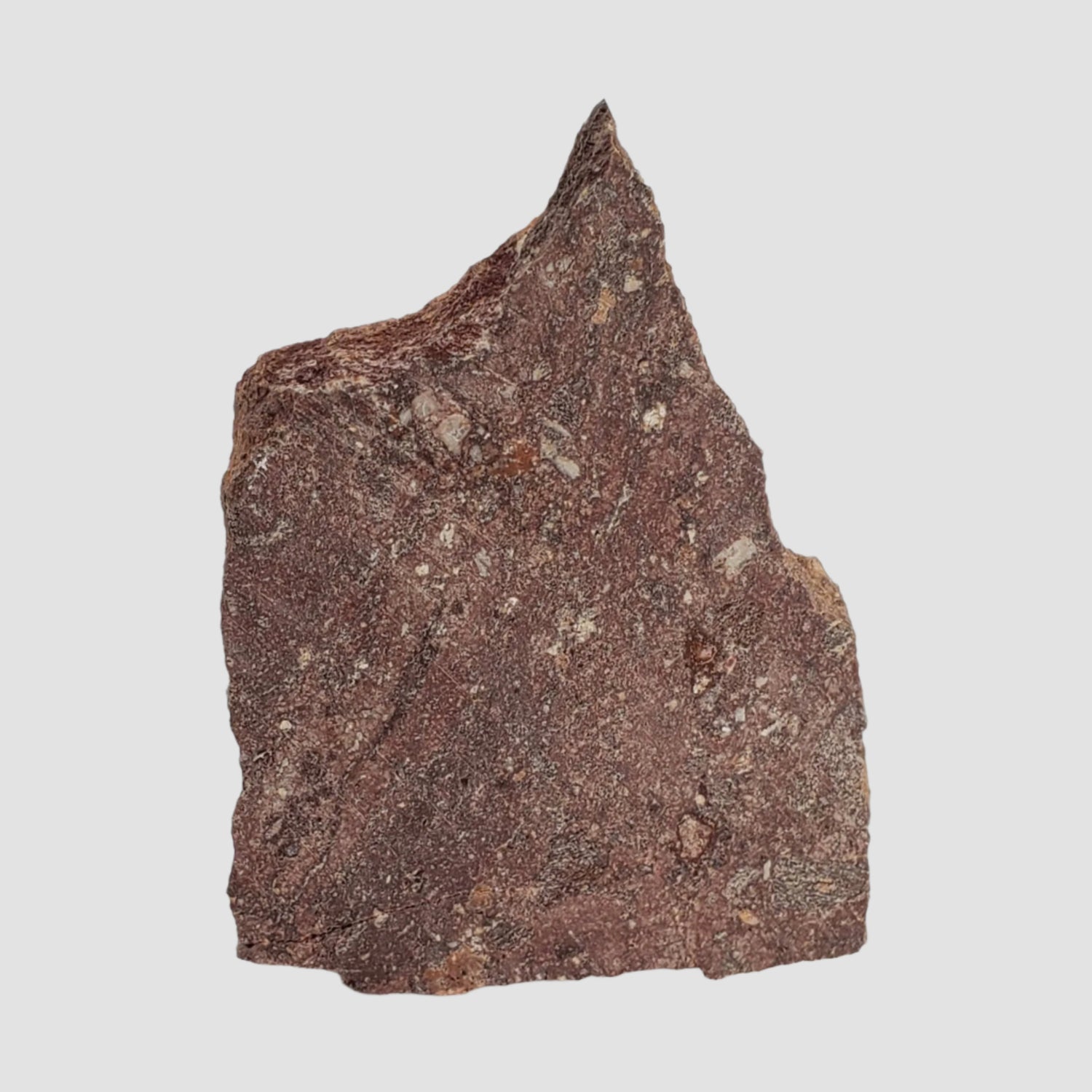  Impactite Melt Rock | 21.97 Grams | Babaudus Impactite, France | Rochechouart Structure 1