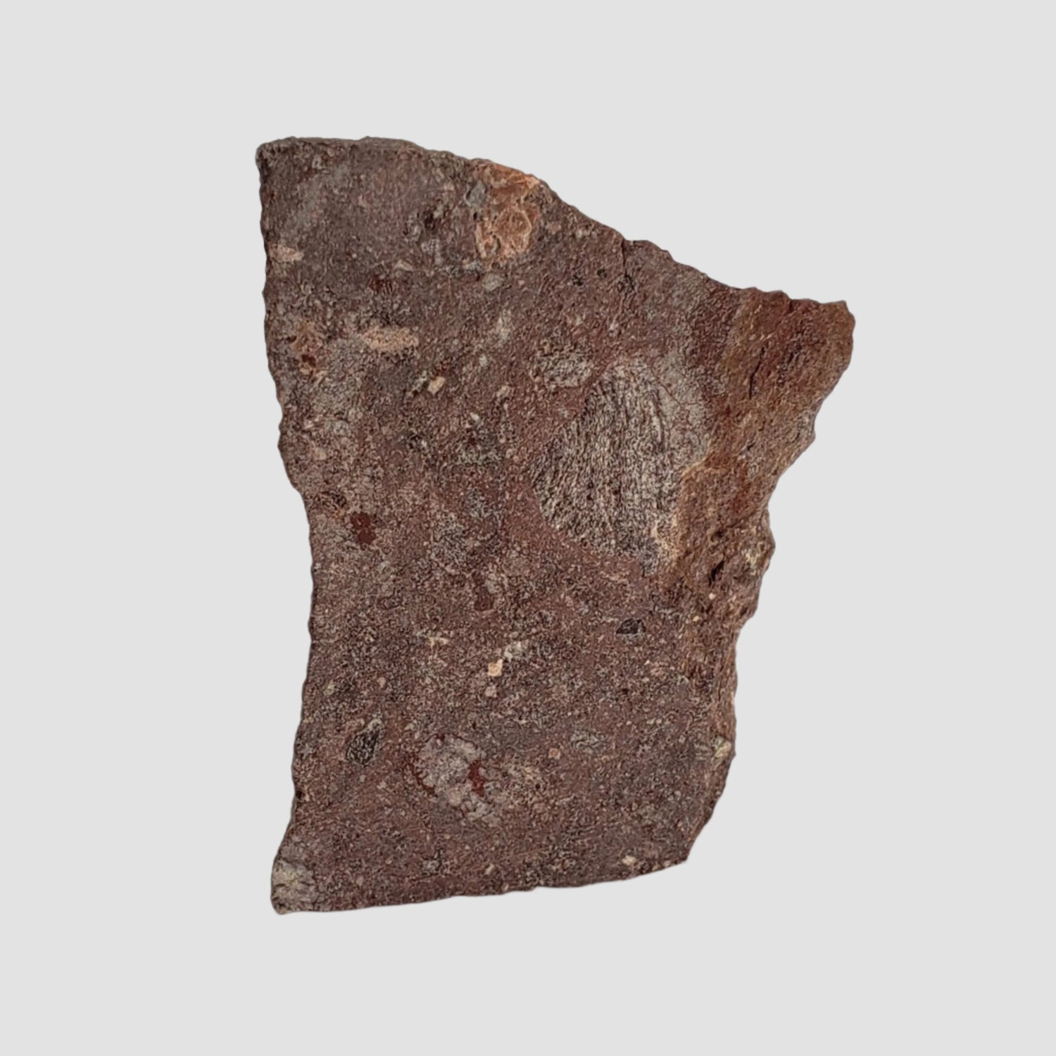  Impactite Melt Rock | 30.89 Grams | Babaudus Impactite, France | Rochechouart Structure 1