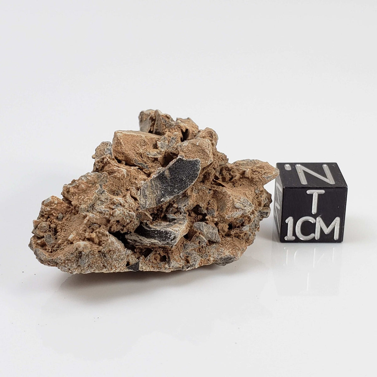  Impactite Monomict Breccia | 15.4 grams | Agoudal, Imilchil Structure | Morocco 