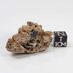  Impactite Monomict Breccia | 15.4 grams | Agoudal, Imilchil Structure | Morocco 