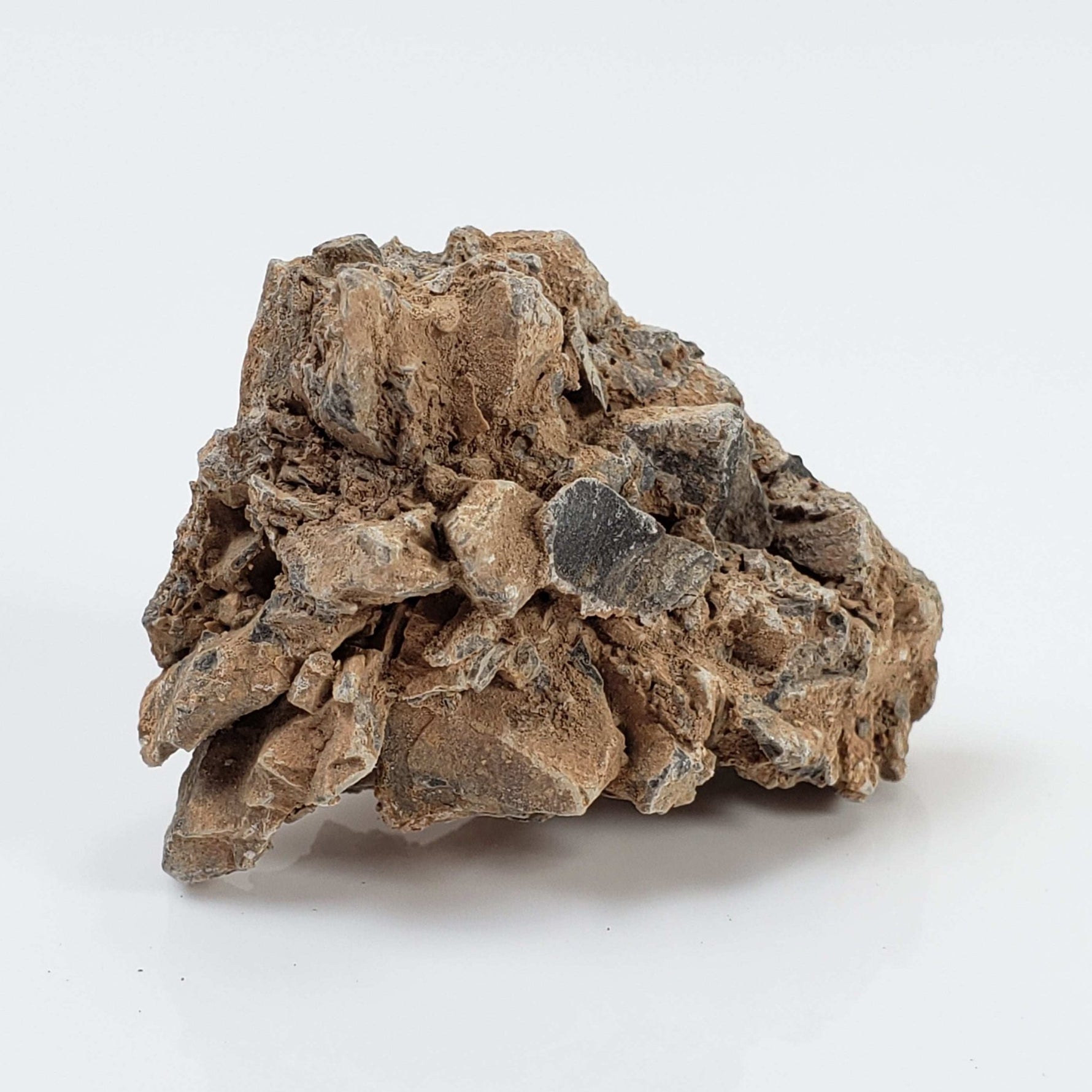  Impactite Monomict Breccia | 15.4 grams | Agoudal, Imilchil Structure | Morocco 4