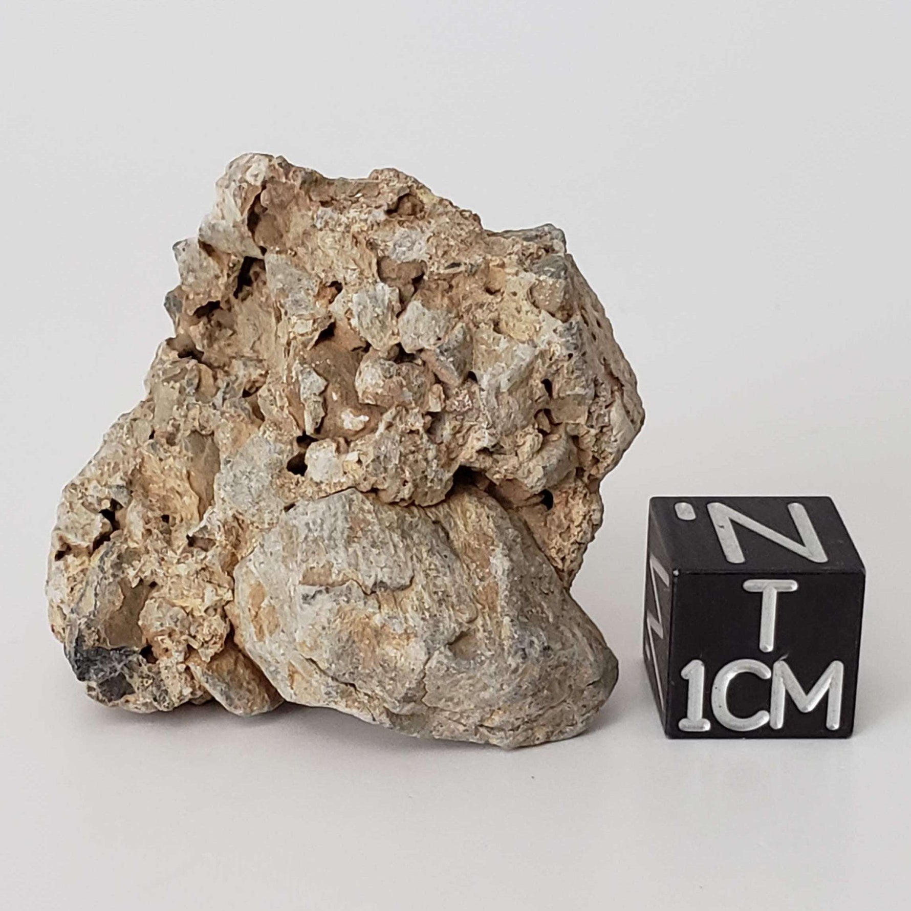  Impactite Monomict Breccia | 16.8 grams | Agoudal, Imilchil Structure | Morocco 