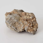  Impactite Monomict Breccia | 16.8 grams | Agoudal, Imilchil Structure | Morocco 4