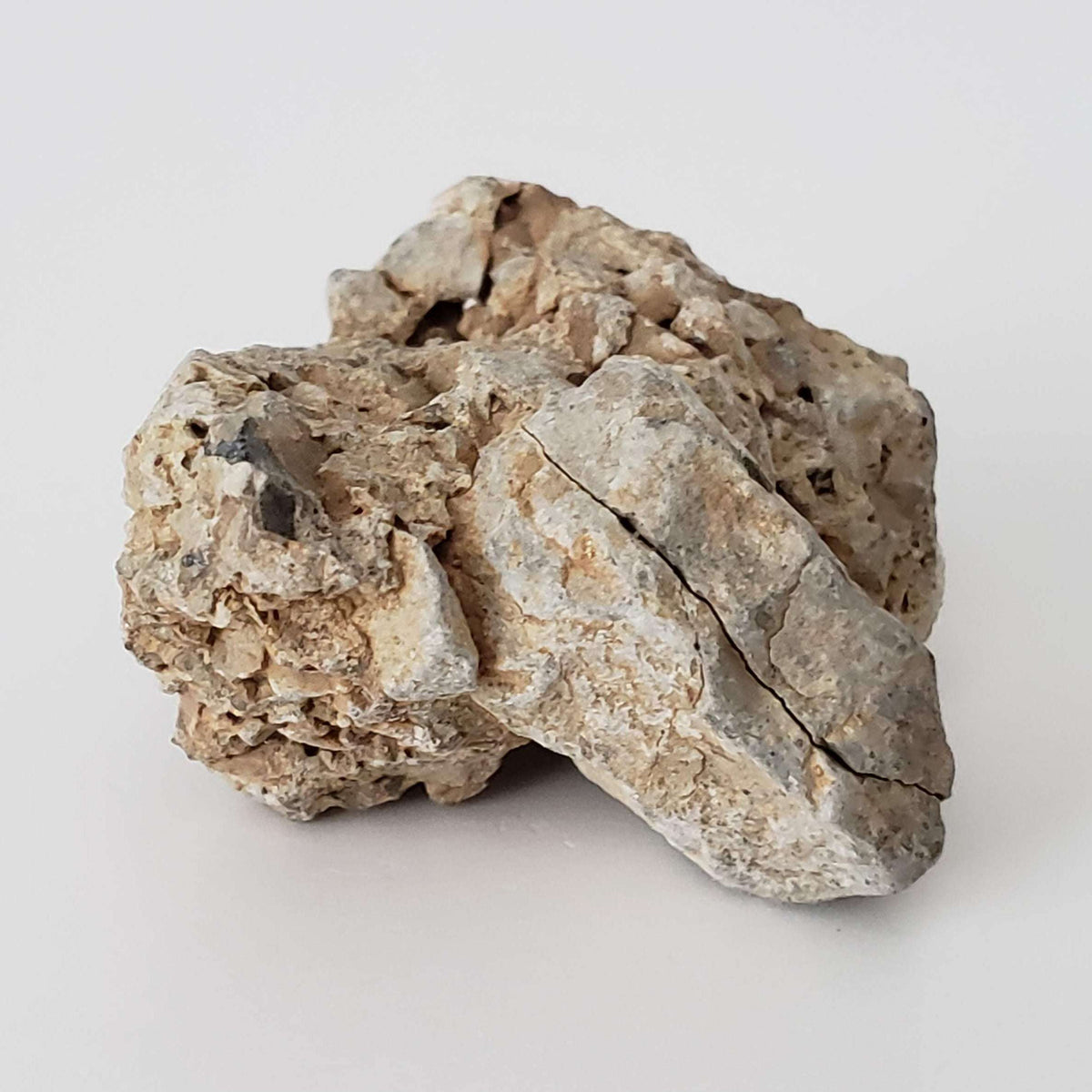  Impactite Monomict Breccia | 16.8 grams | Agoudal, Imilchil Structure | Morocco 6