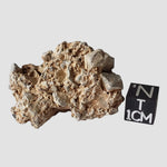  Impactite Monomict Breccia | 17.4 grams | Agoudal, Imilchil Structure | Morocco 